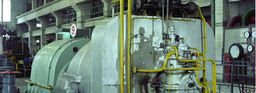 Company Milestones